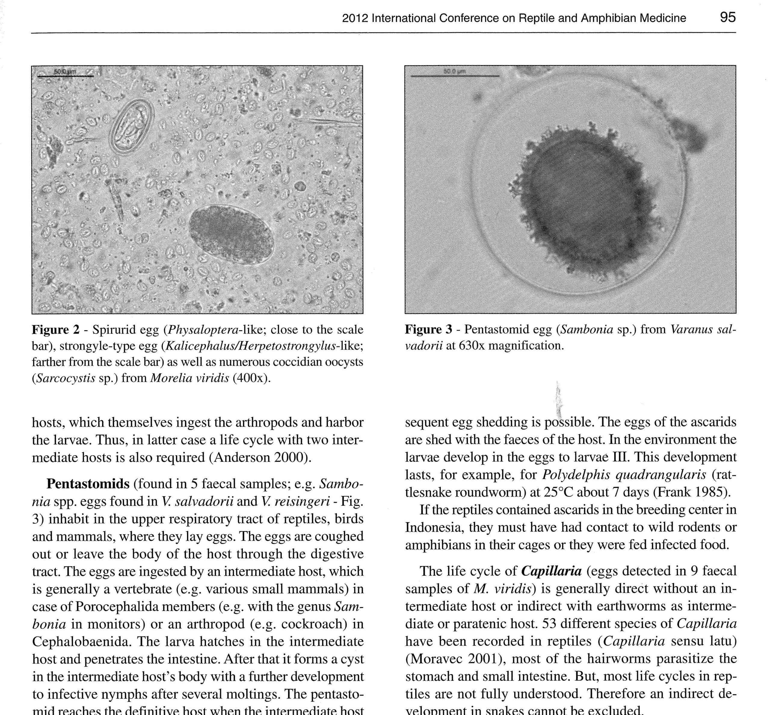 Possibilities to Differentiate Wild Born from Captive Bred Reptiles