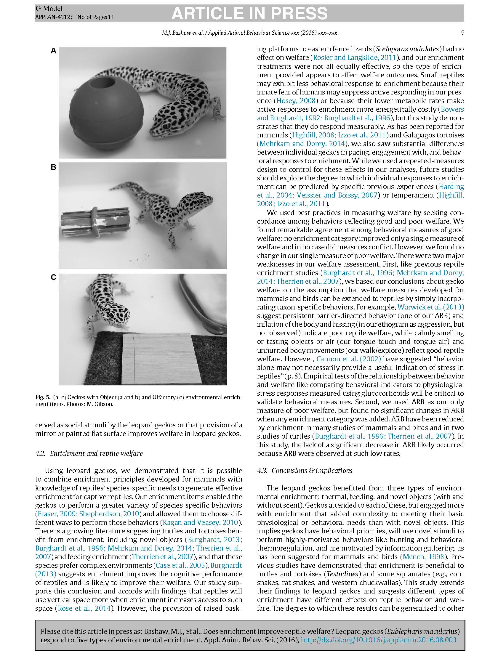 Does Enrichment Improve Reptile Welfare? Leopard Geckos (Eublepharis Macularius) Respond to Five Types of Environmental Enrichment