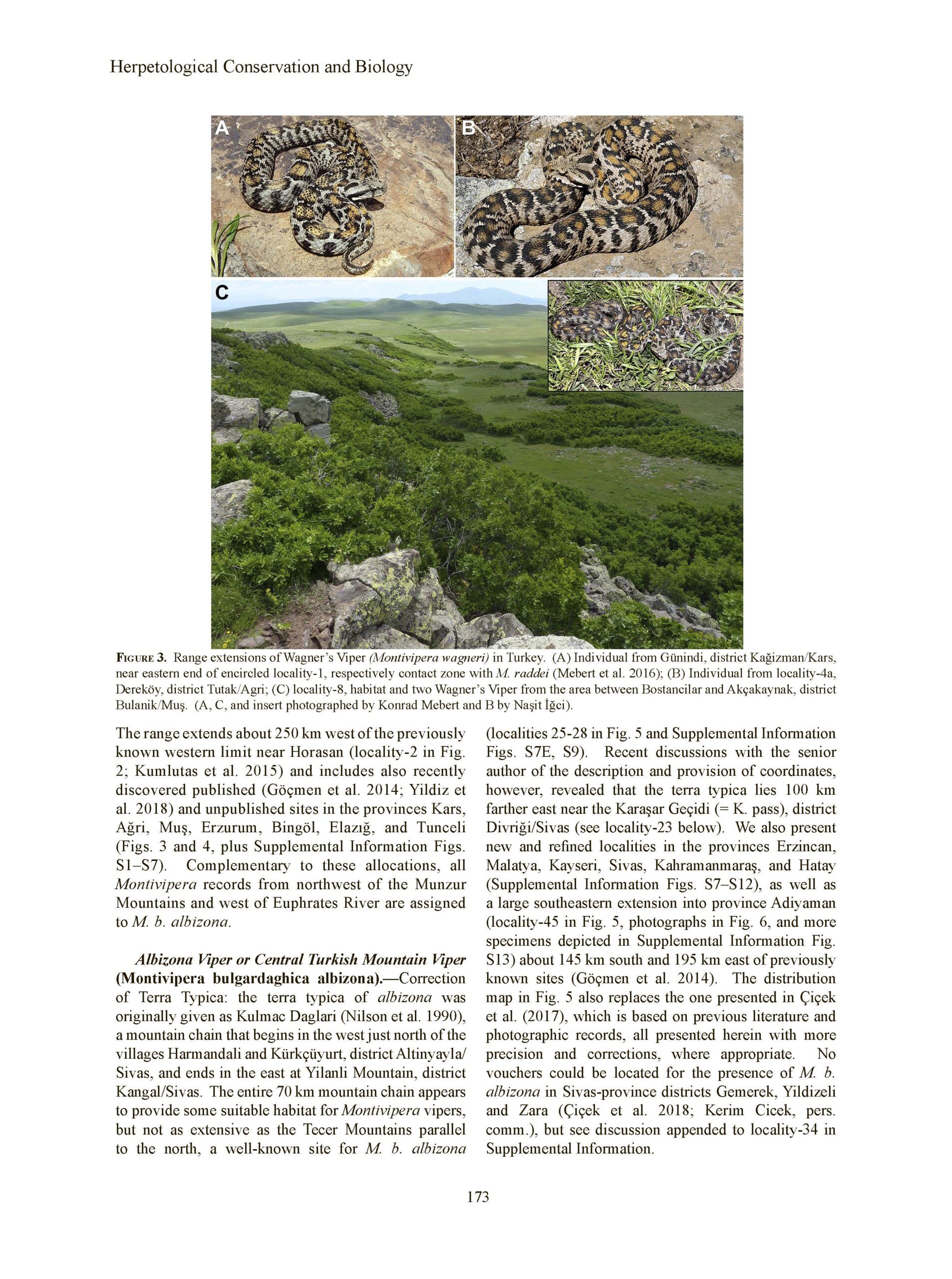 Mountain Vipers in Central-Eastern Turkey: Huge Range Extensions for Four Taxa Reshape Decades of Misleading Perspectives