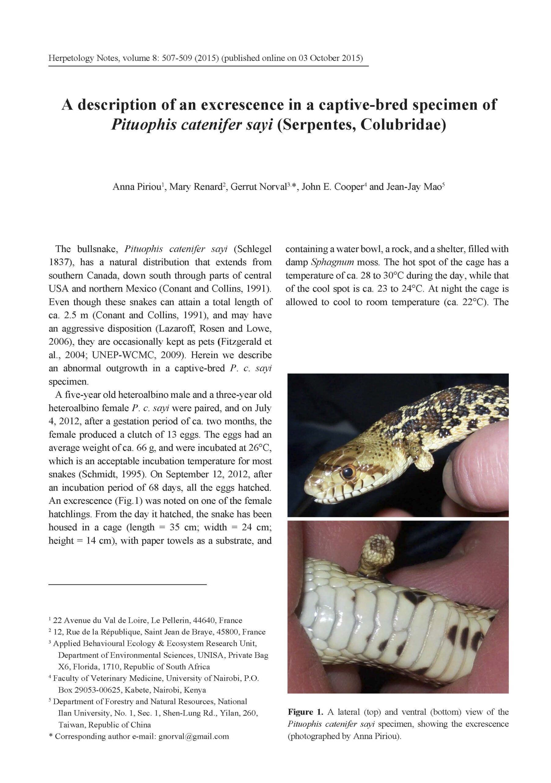 A Description of an Excrescence in a Captive-bred Specimen of Pituophis catenifer sayi (Serpentes, Colubridae)
