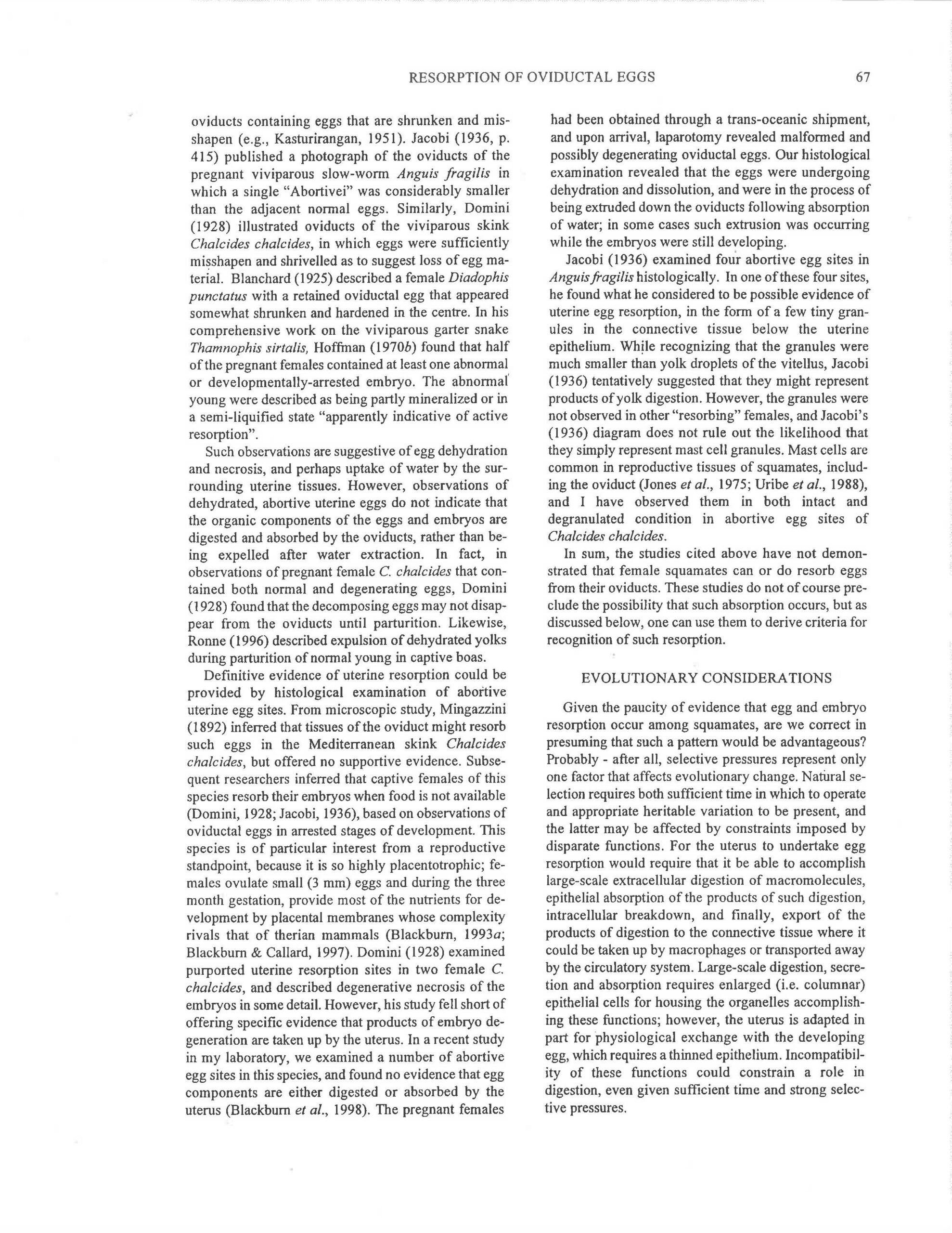 Resorption of Oviductal Eggs and Embryos in Squamate Reptiles