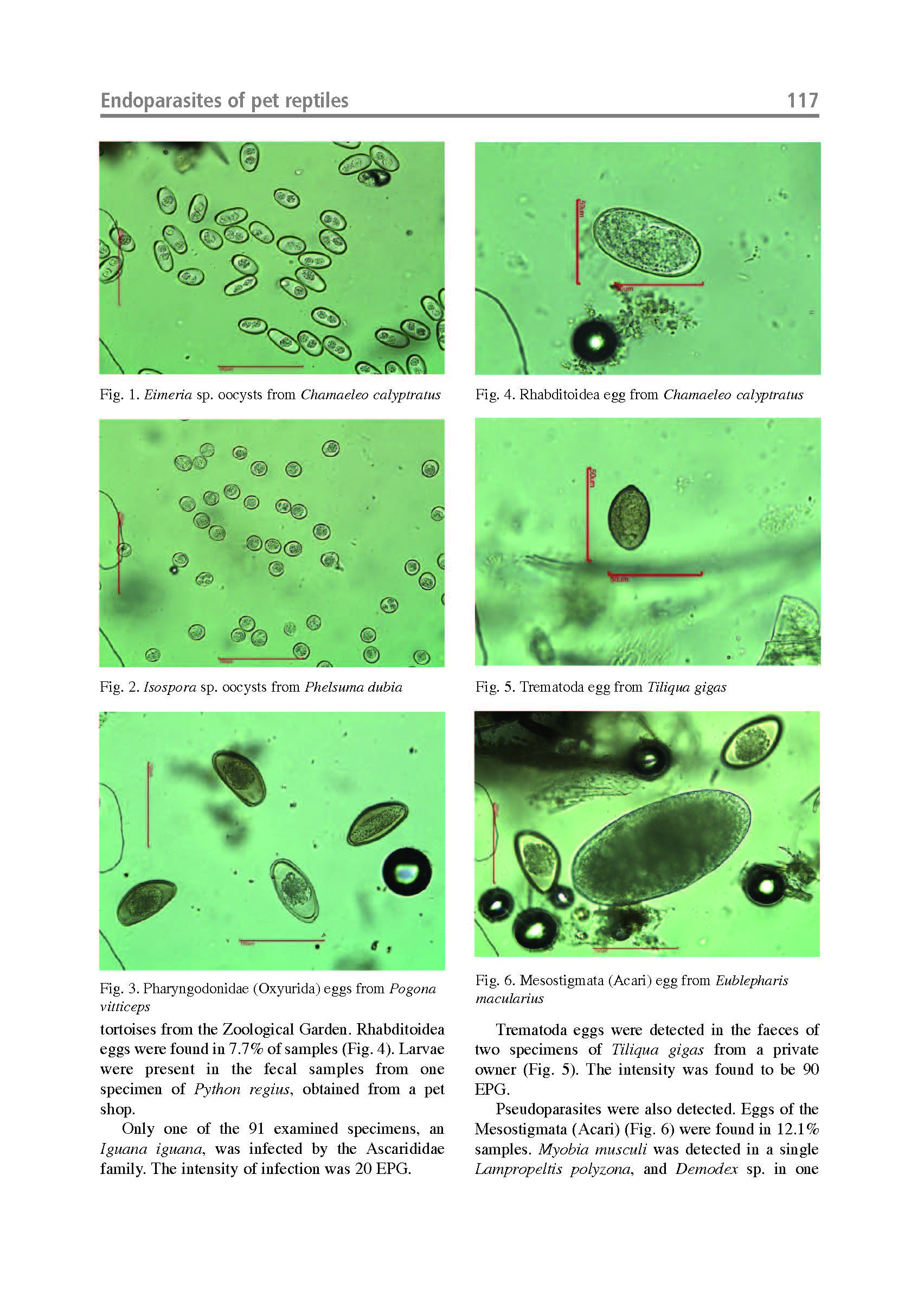 Endoparasites of Pet Reptiles Based on Coprosopic Methods