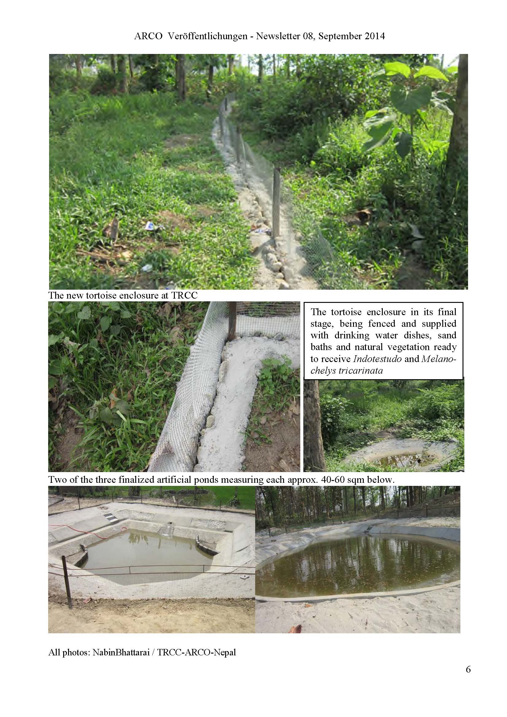 First Release of Captivity Bred Turtle at Chitwan National park