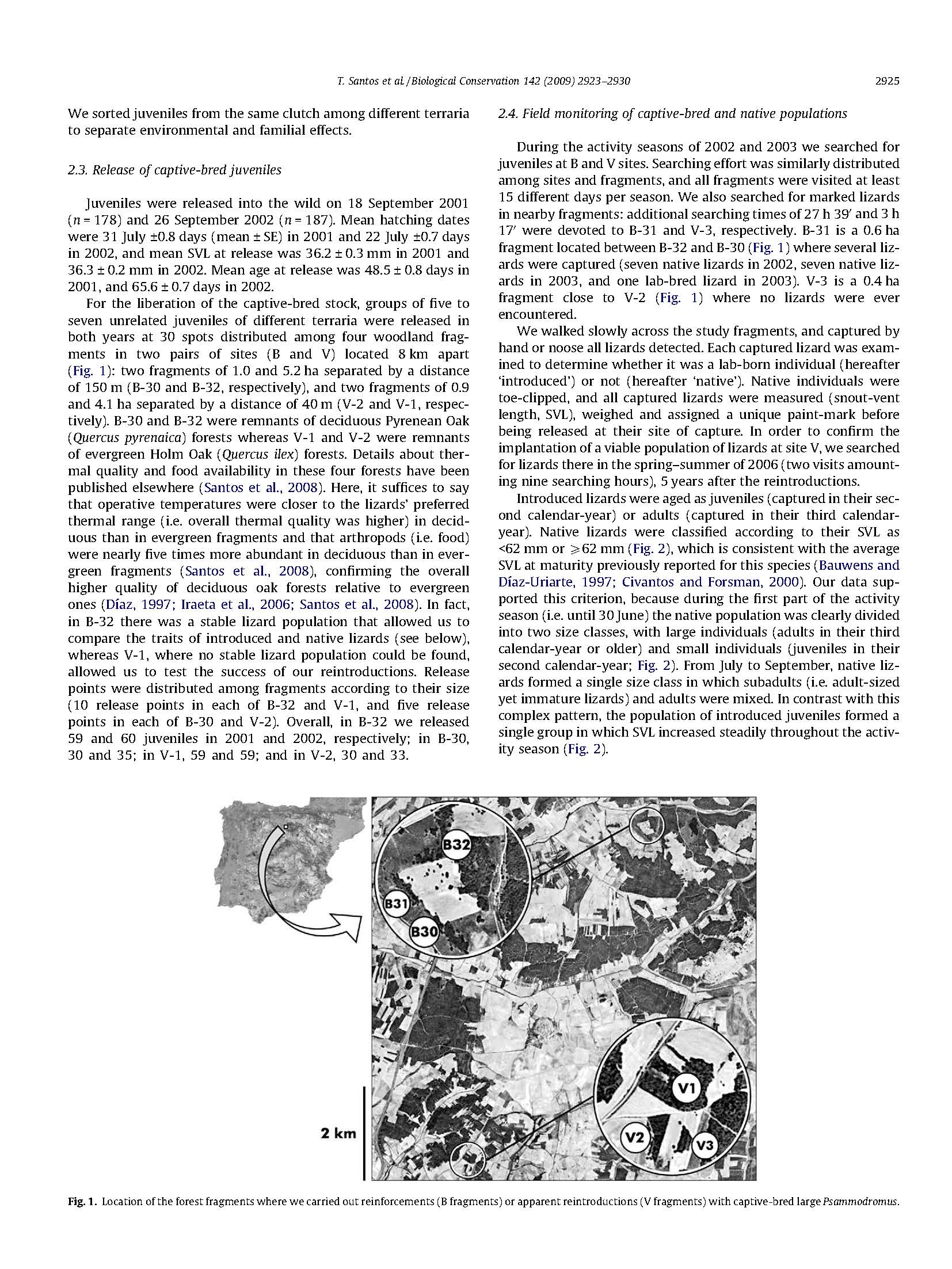 Monitoring the Performance of Wild-born and Introduced Lizards in a Fragmented Landscape