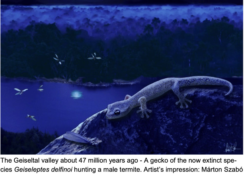 New Gecko Species Living Millions of Years Ago Was Described from Geiseltal Region, Germany