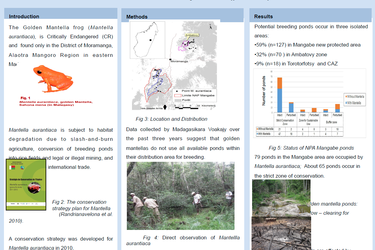 Conservation Status of the Golden Mantella Frog in Eastern Madagascar: how do Protected Areas Contribute?