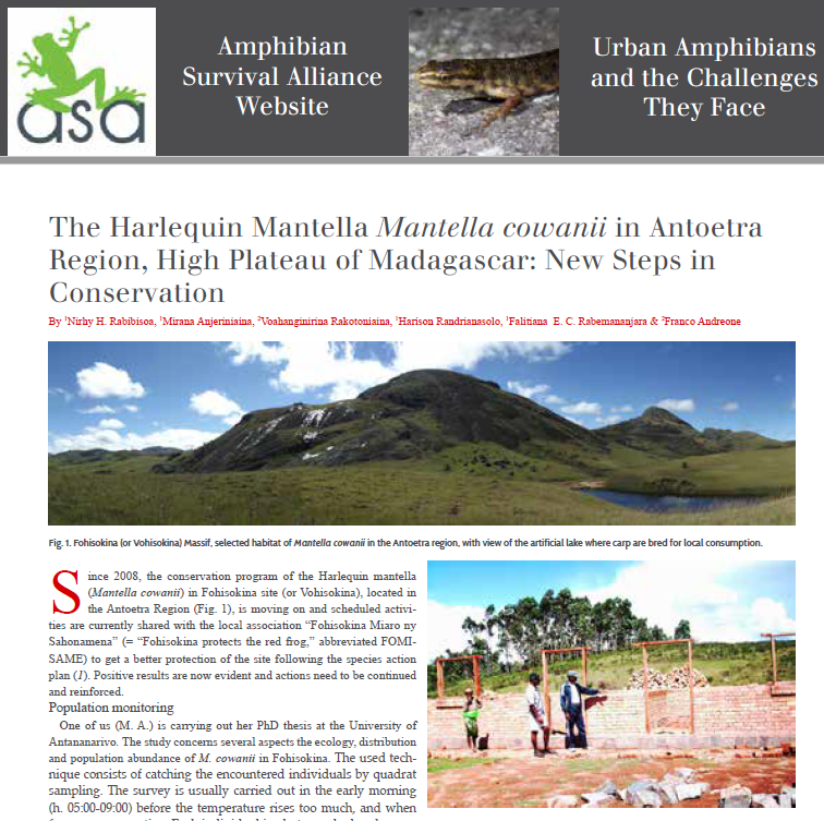 The harlequin Mantella Mantella cowanii in Antoetra Region, High Pateau of Madagascar: New Steps in Conservation