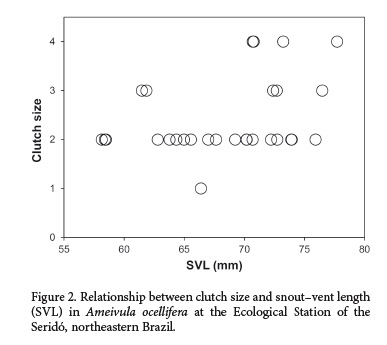 Reproductive Biology of a Whiptail Lizard (Teiidae: Ameivula) in the Brazilian Caatinga