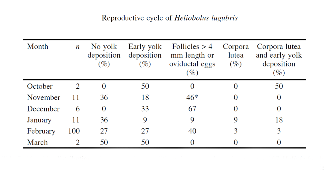 Reproductive Сycle of the Bushveld Lizard Heliobolus lugubris (Squamata: Lacertidae) from Southern Africa