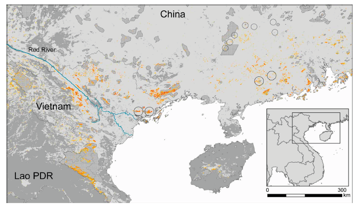 Potential Distribution and Effectiveness of the Protected Area Network for the Crocodile Lizard, Shinisaurus crocodilurus (Reptilia: Squamata: Sauria)