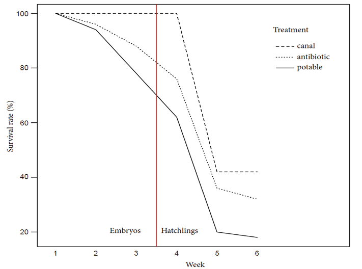 Is Prevention of Water Polution and Eutrophication the Best Option to Ensure Axolotl Survival in its Natural Environment?
