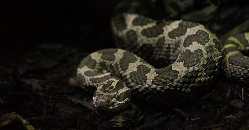 The Positive List: Facts and Responsibility in the Hobby