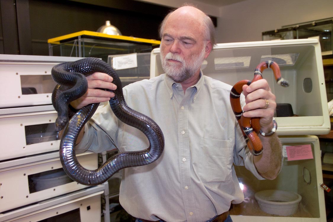 Dr. Harry Greene: Webinar “Tracking Kinship: Natural History and Wild Respect”