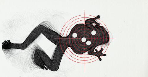 Ecologist Karen Lips: Frogs Disappear worldwide. There is no way to stop that killer