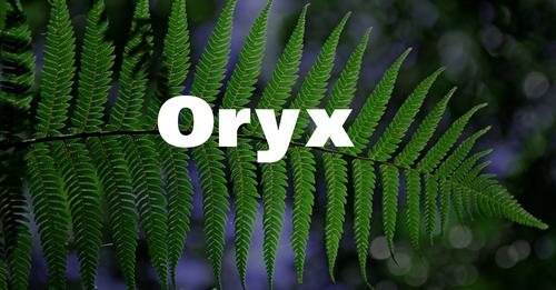 Releasing Captive-Bred Harlequin Frogs into the Wild