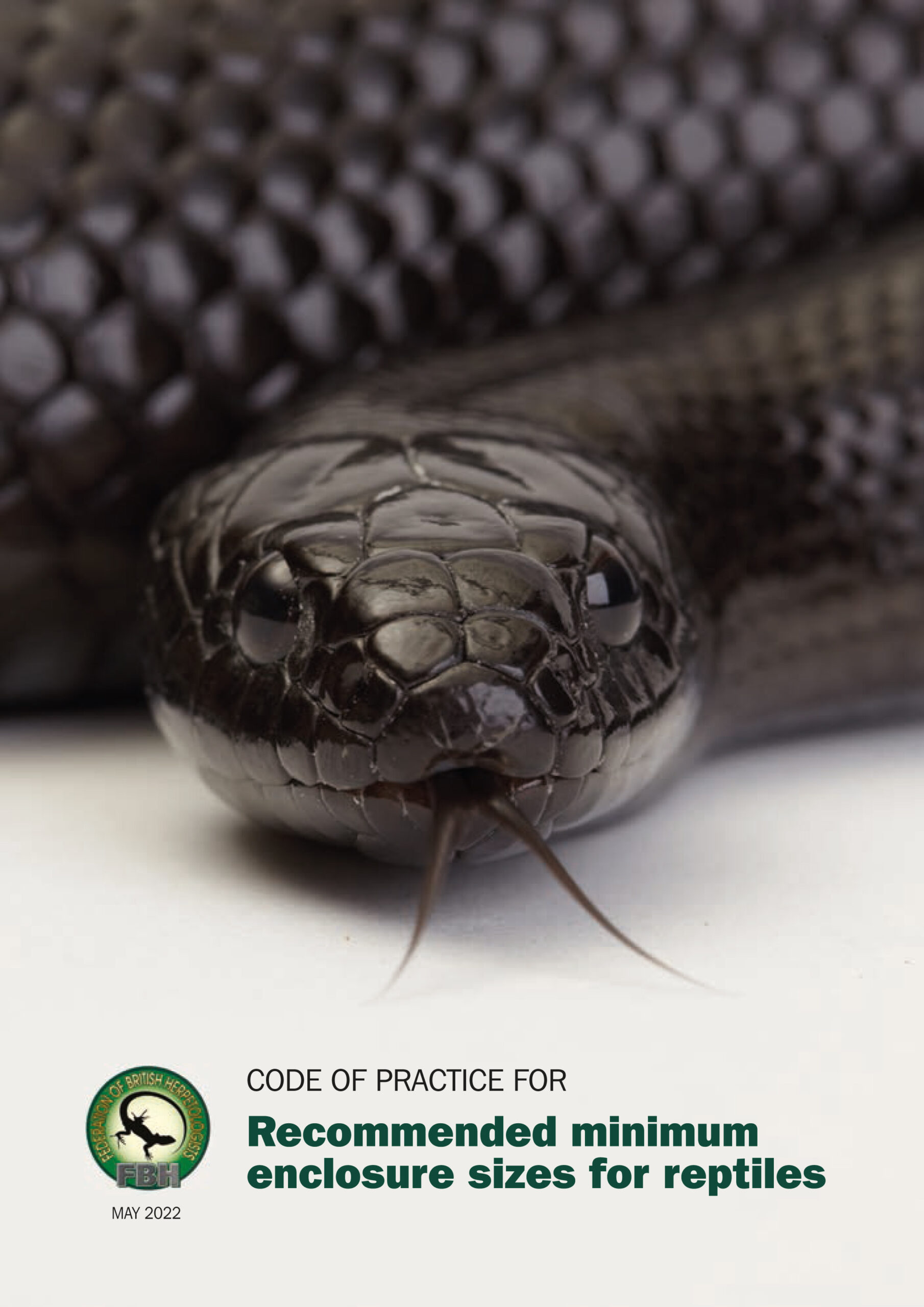 Guidance of FBH recommends minimum enclosures sizes for reptiles