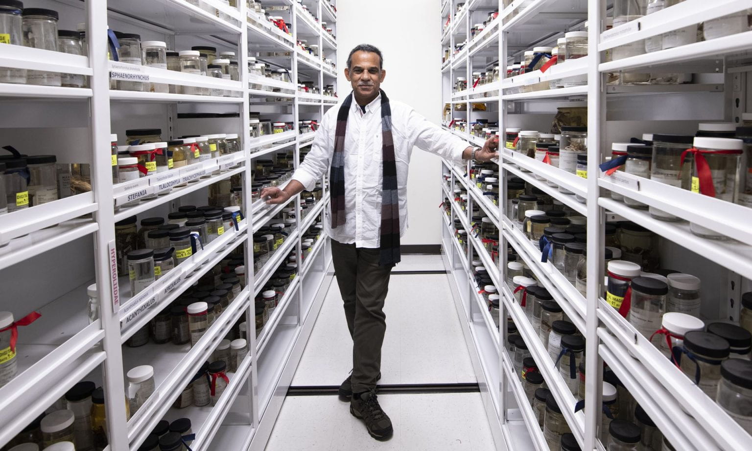 India: an Amphibian Hotspot