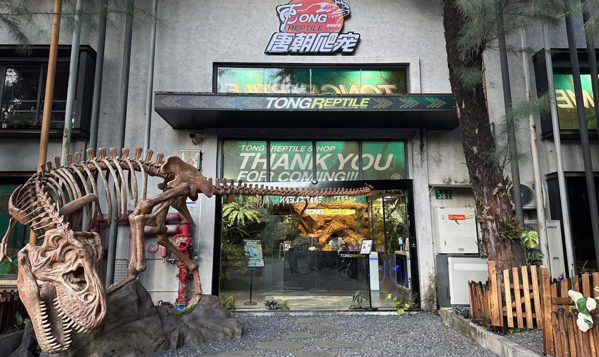 Tong Reptile Breeding and Propagation Center in ChinaThe New Face of Reptile Shows