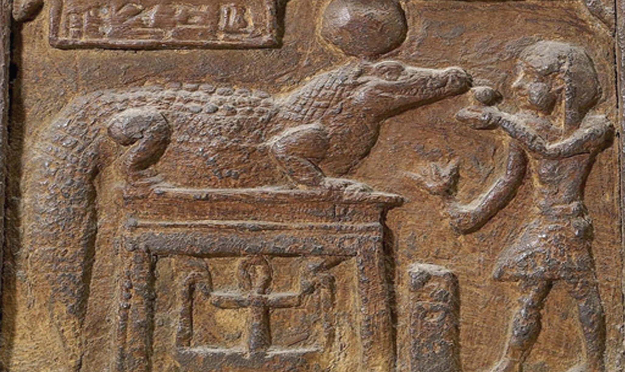 The time for Responsible Herpetoculture education is now