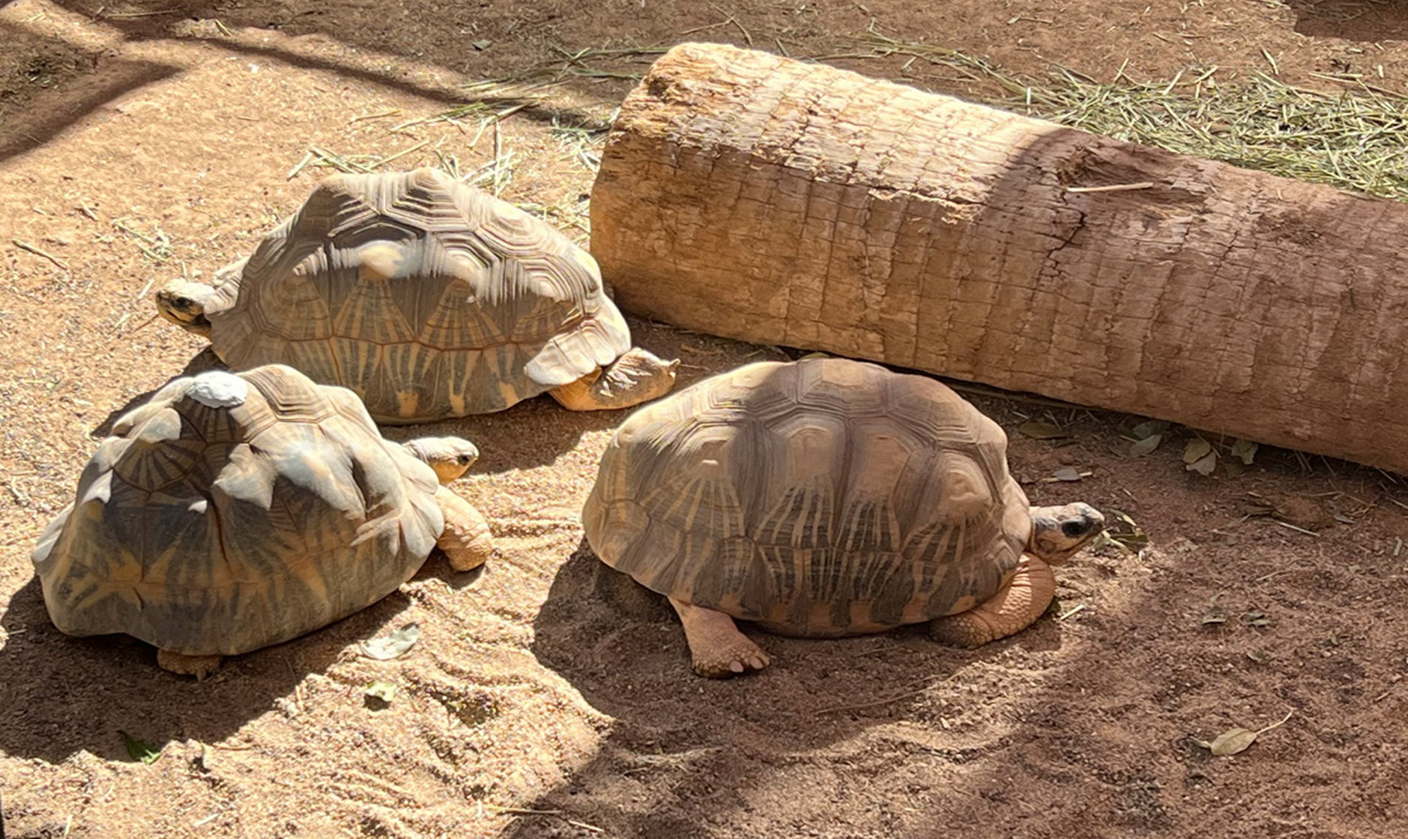 A visit to the 2022 TTPG Conference