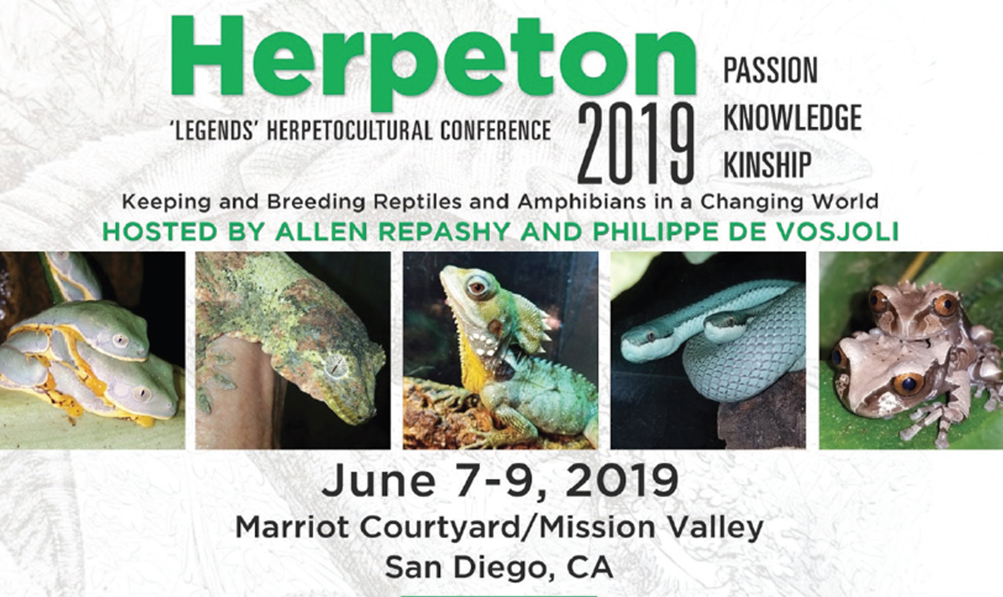 Herpeton 2019 revised