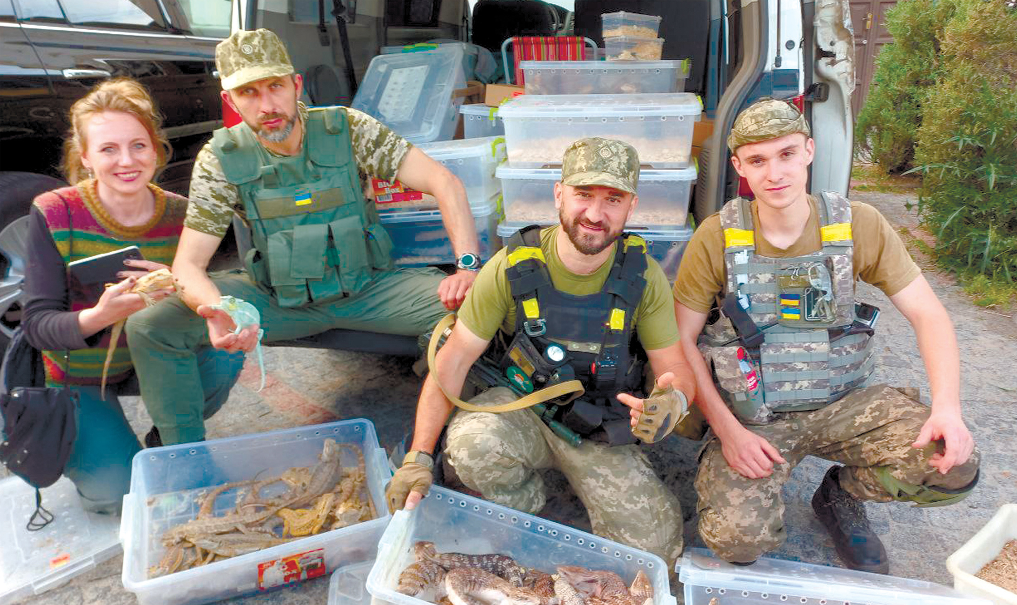 Emergency Herpetoculture from Nelly Kuzmenko eighty days occupation