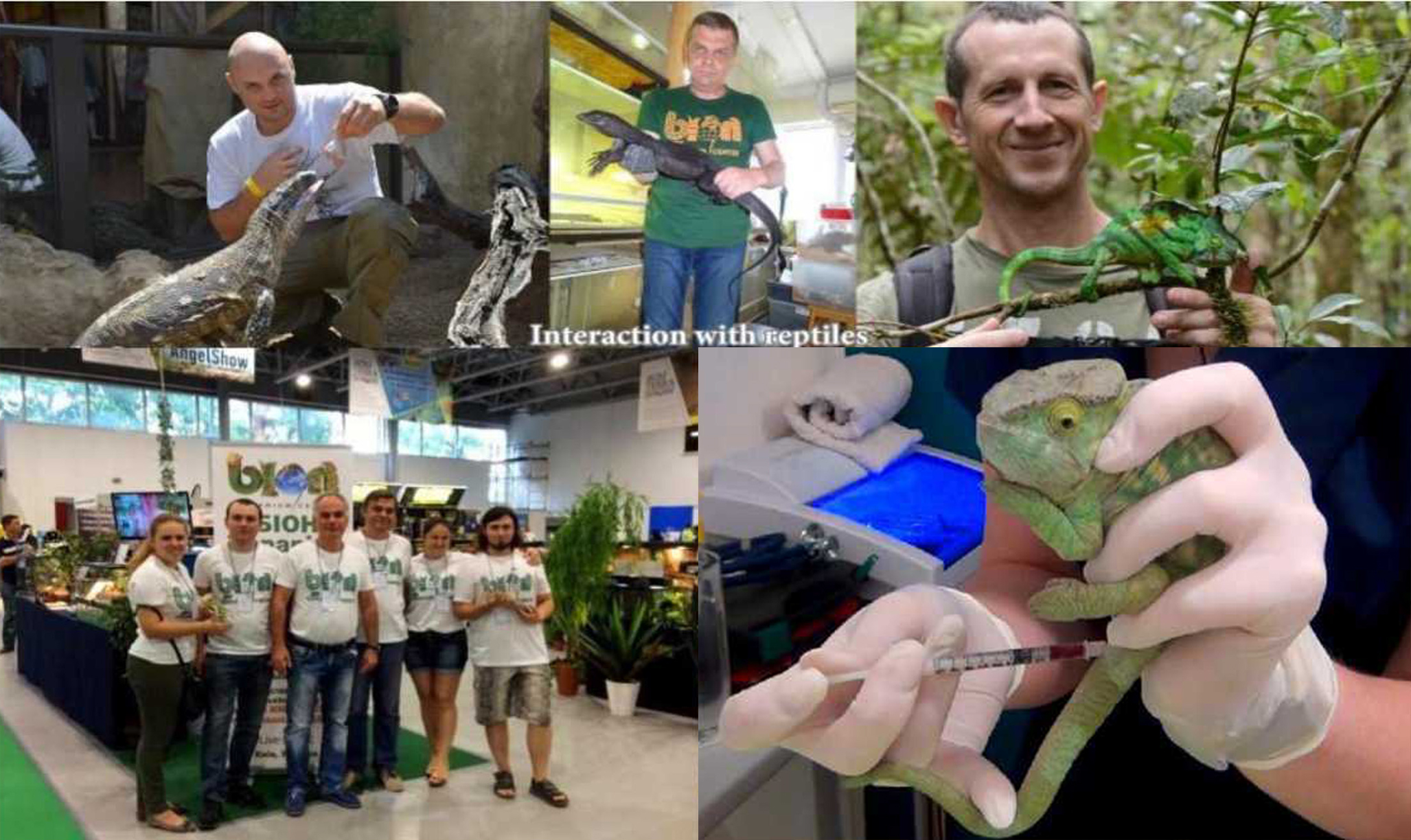 Responsible Herpetoculture – Basic Principles