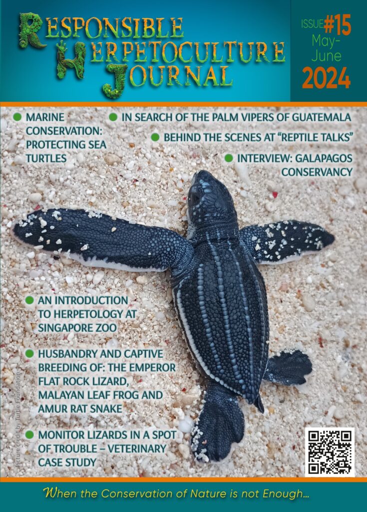 Issue #15 May-June 2024