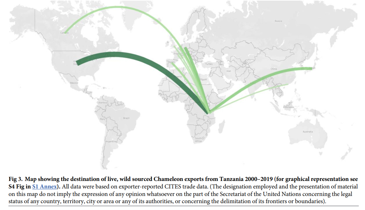 Status and trends in the international wildlife trade in chameleons with a focus on Tanzania