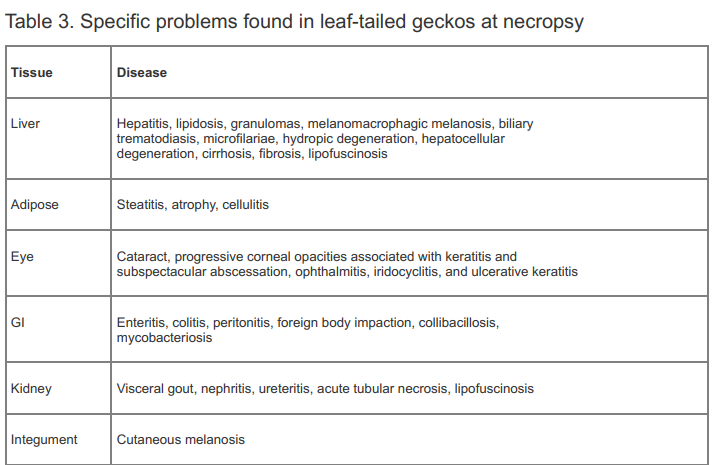 Husbandry and mortality data on Malagasy leaf-tailed geckos (Uroplatus sp.)