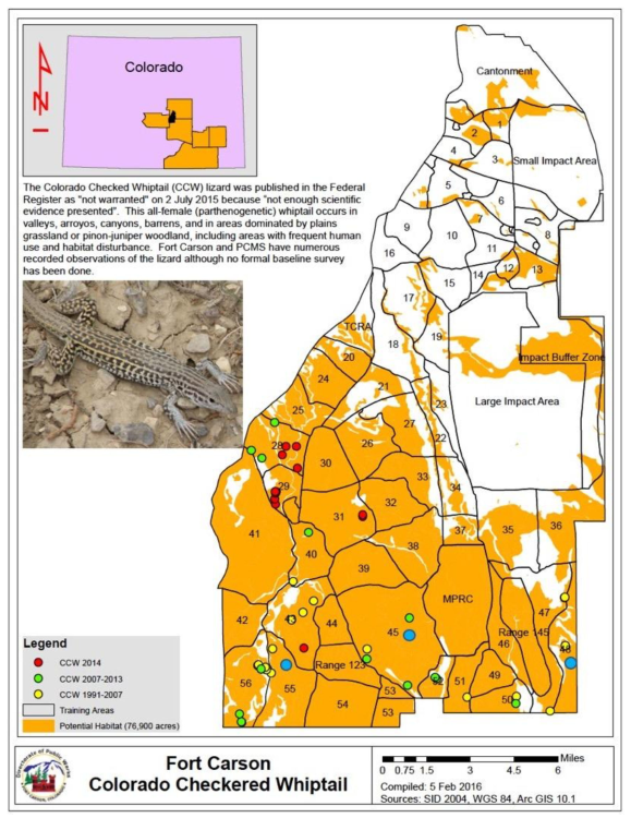 Behavior, stress and metabolism of a parthenogenic lizard in response to flyover noise