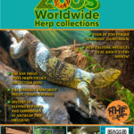 ZOOS Worldwide Herp Collections