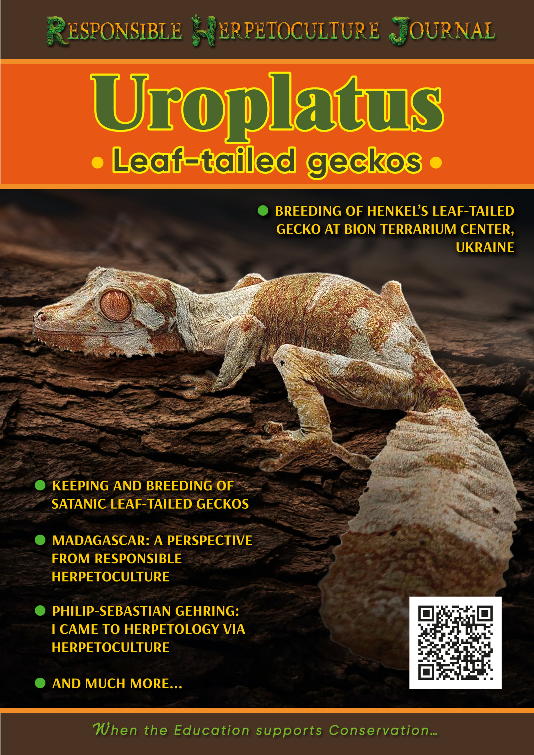 Guide from RHF: Leaf-Tailed Geckos