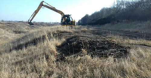 Impacts of the Installation of Basking Banks on 4 UK Reptile Species in a Before–After Control–Intervention Experiment