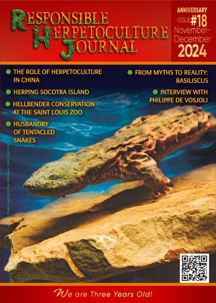 Issue#18 (Nov.-Dec. 2024)