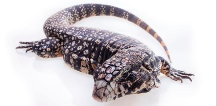 Care guide: How to write your own?