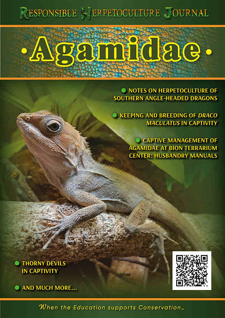 Guide from RHF: Agamidae lizards