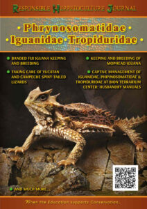 Guide from RHF: Phrynosomatidae, Iguanidae, Tropiduridae