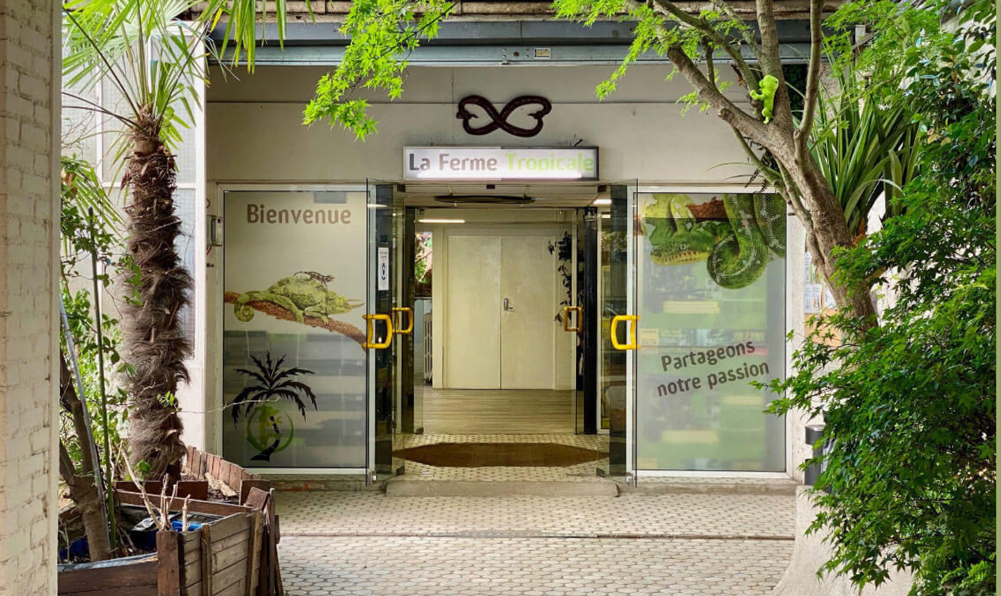 La Ferme Tropicale: Education Activities and Courses of Responsible Herpetoculture