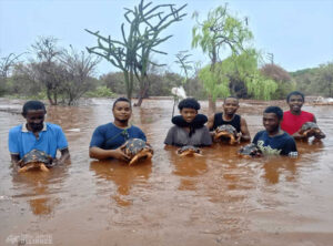 Tortoises saved at Lavavolo Tortoise Center