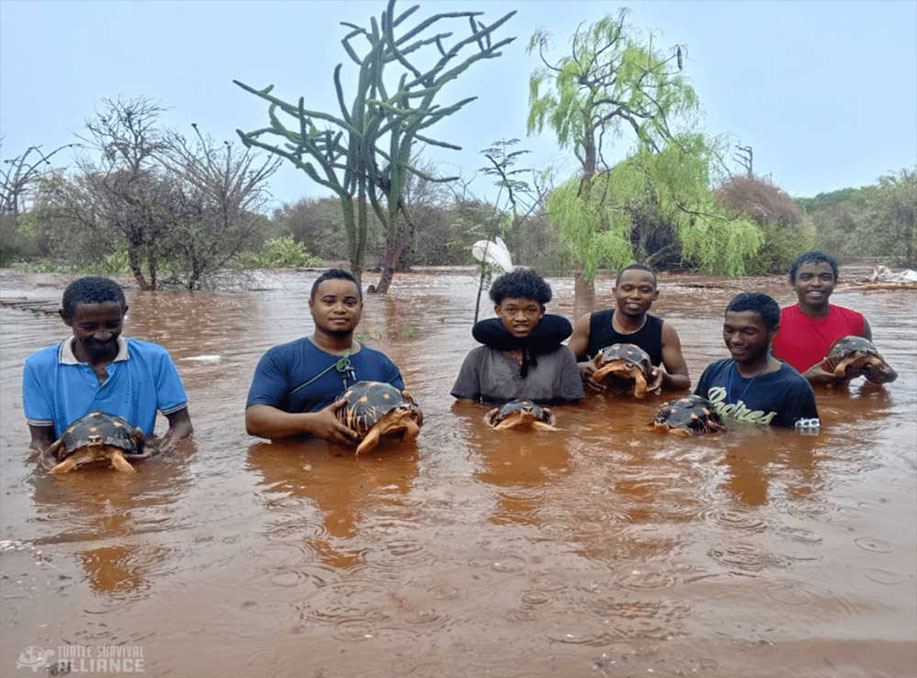Thousands of Tortoises Saved at Madagascar’s Lavavolo Tortoise Center