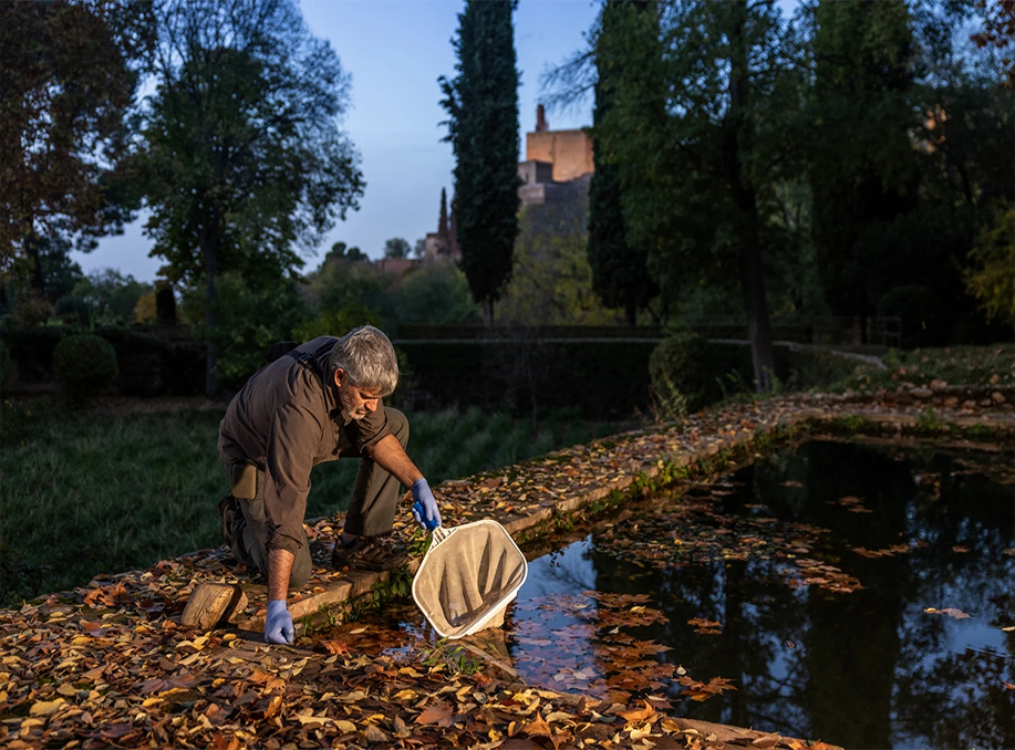 Reviving the Biodiversity Around the Alhambra palace