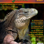 RH Journal #20 (Mar.-Apr.2025)