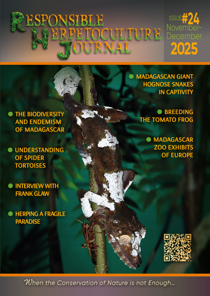 RH Journal #24 (November-December 2025)