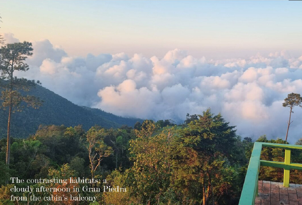 HERPING IN CUBA: A G AT E WAY TO CARIBBEAN BIODIVERSITY